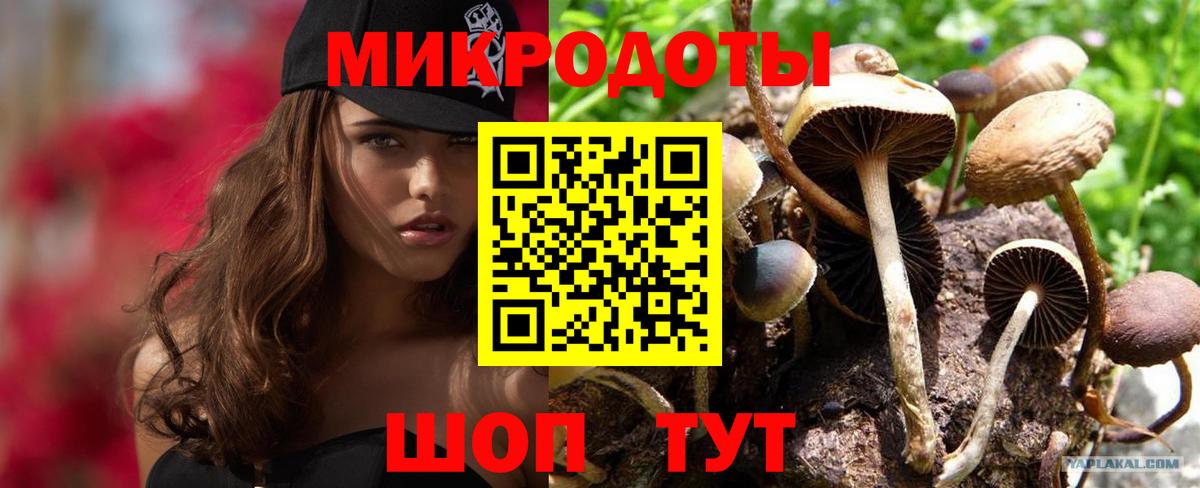 Избербаш  Псилоцибиновые грибы прущие грибы  Вход с VPN  Псилоцибиновые грибы Cubensis 