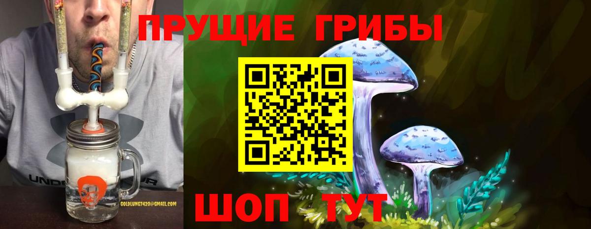 Псилоцибиновые грибы GOLDEN TEACHER Избербаш